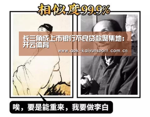 长三角成上市银行不良贷款聚集地:开云体育(图1) 开云体育